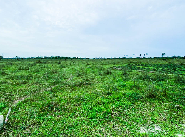 Crado City Airport Road 1